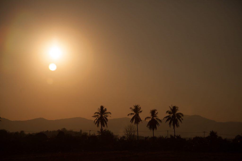 Palm trees line the road while the sun sets behind. Photograph by Ian Brown